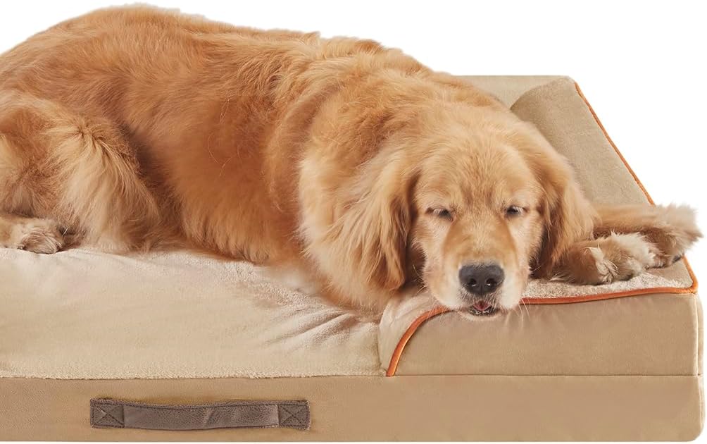 Cama ortopédica para perros Friends Forever, espuma viscoelástica, 35x25x6.5