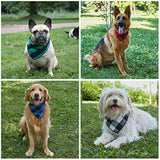 Accesorios para perros pequeños, medianos, grandes.