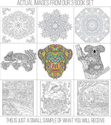 Set de libro de adultos para colorear