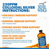 Suplemento Mineral de Plata Coloidal 250 Ppm - Natural Path