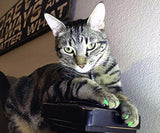 Purrdy Paws Tapas de uñas suaves para garras de gato