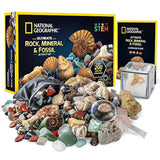 Kit Nacional de Rocas Geográficas y Fósiles Multicolor