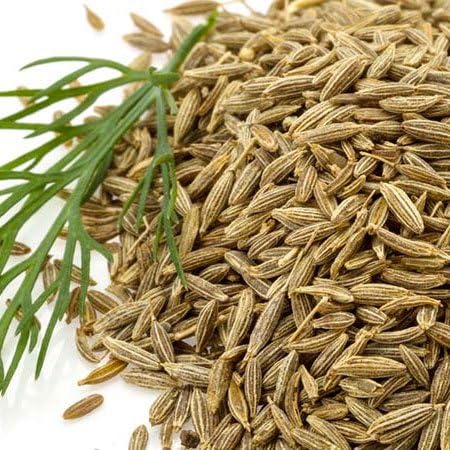 Semillas de Comino, Isla's Garden Seeds, No GMO, 300+ semillas