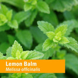 Suplemento Bálsamo de glicerina de limón Herb Pharm 1 Oz