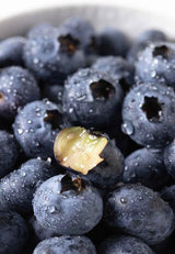 Semillas de Arándano 2g - Berry Fresh - Heirloom No-GMO
