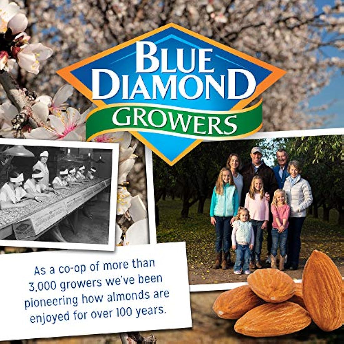 Blue Diamond Almendras