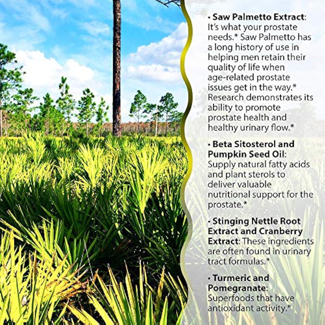 Irwin Naturals saludable flujo Saw Palmetto 60 unidades
