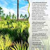Irwin Naturals saludable flujo Saw Palmetto 60 unidades