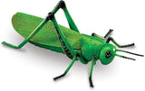Recursos de Aprendizaje Insectos Gigantes, 7 Piezas, 3+ Años