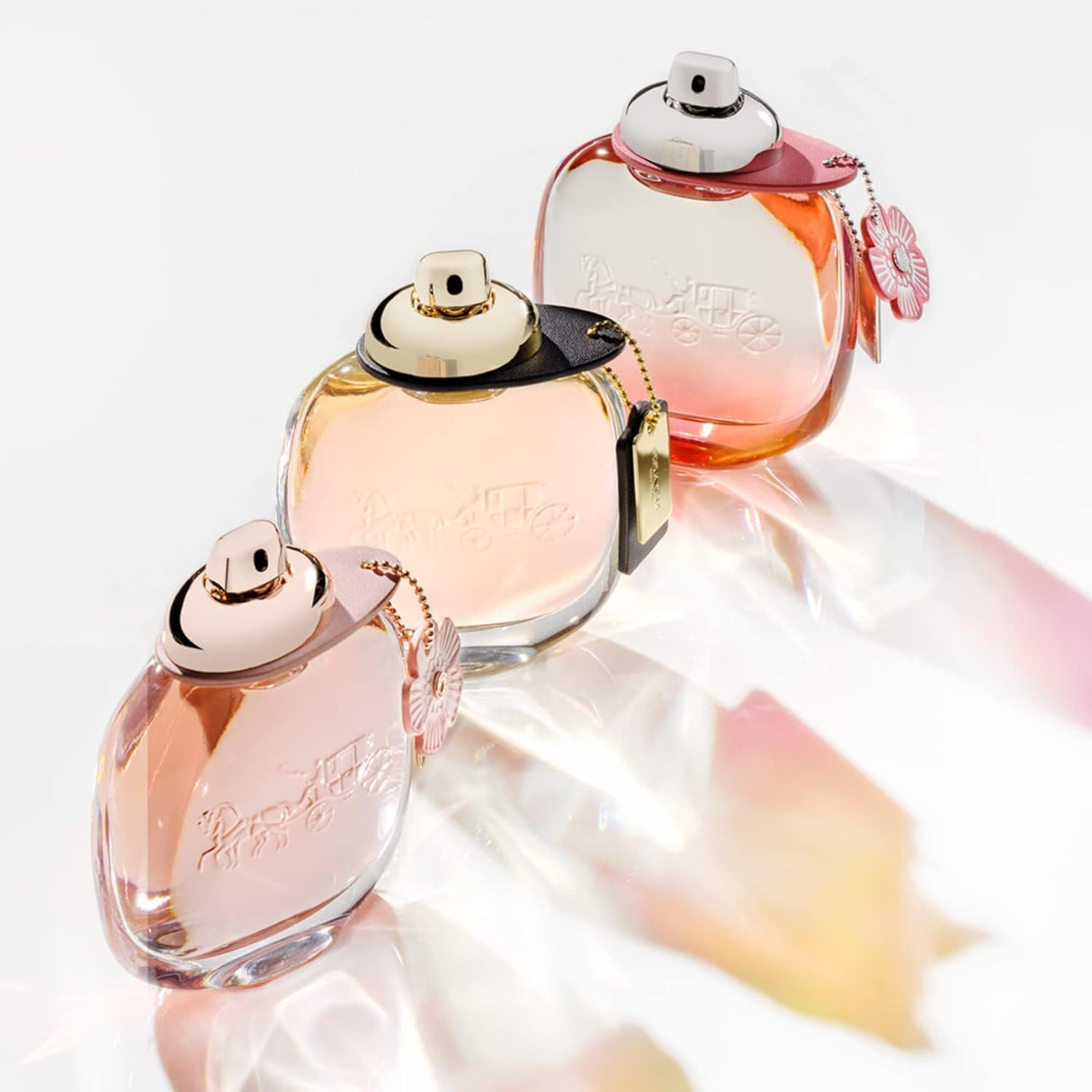 Perfume Entrenador Eau De Parfum