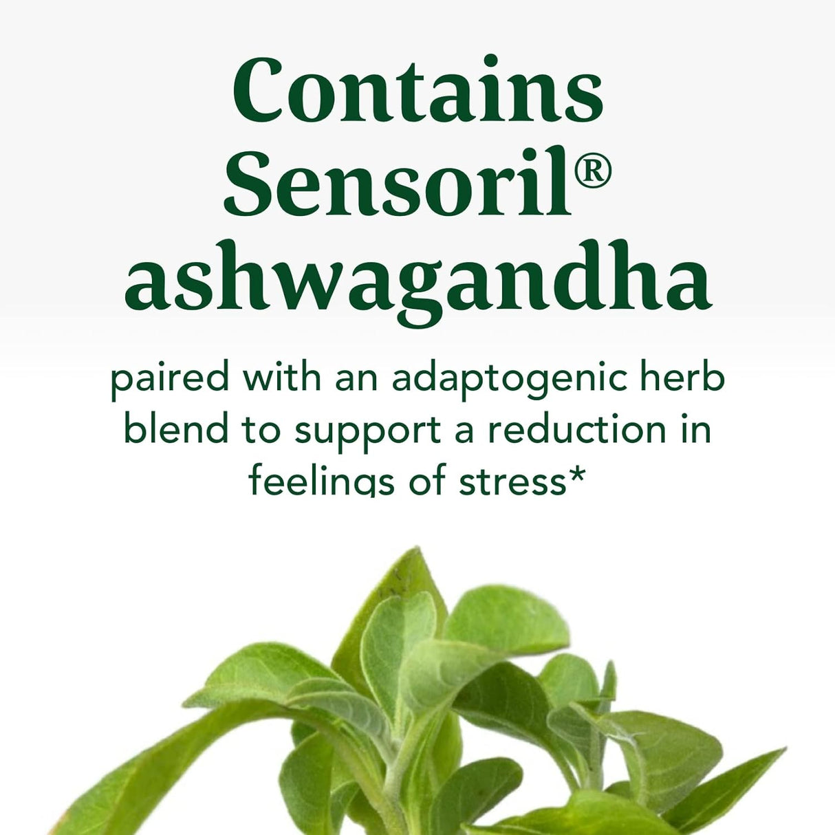 MegaFood Protege el estrés con mezcla de ashwagandha  30 por