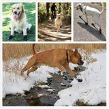 Botas impermeables para perro color negro