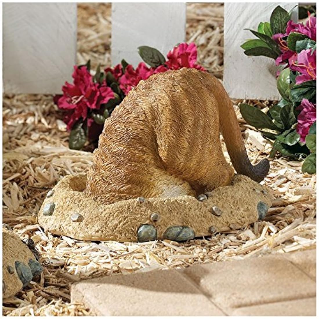 Design Toscano Kalahari Meerkat Estatuas: fuera de agujero