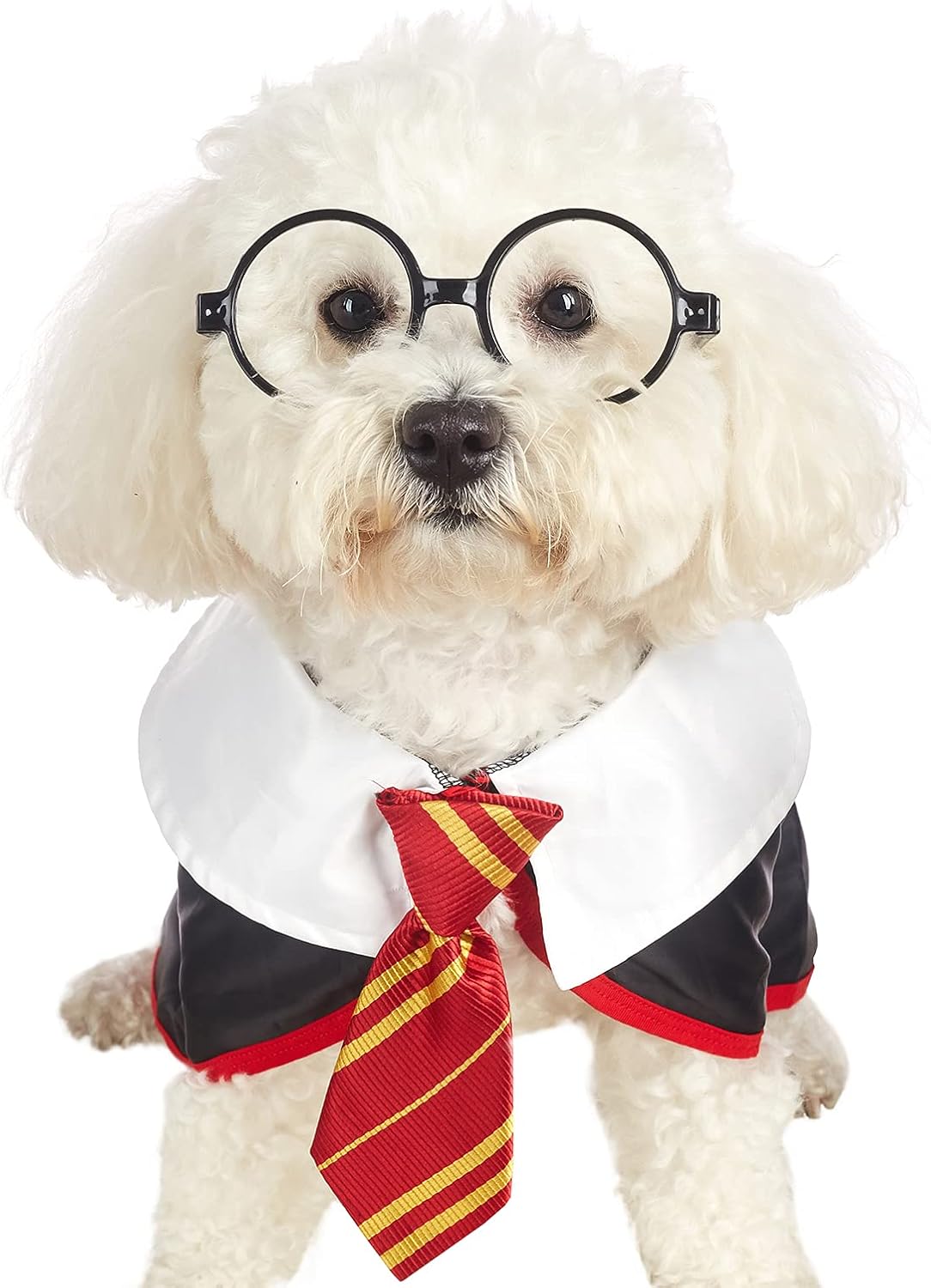 Disfraces de Camisas divertidas para perro talla S