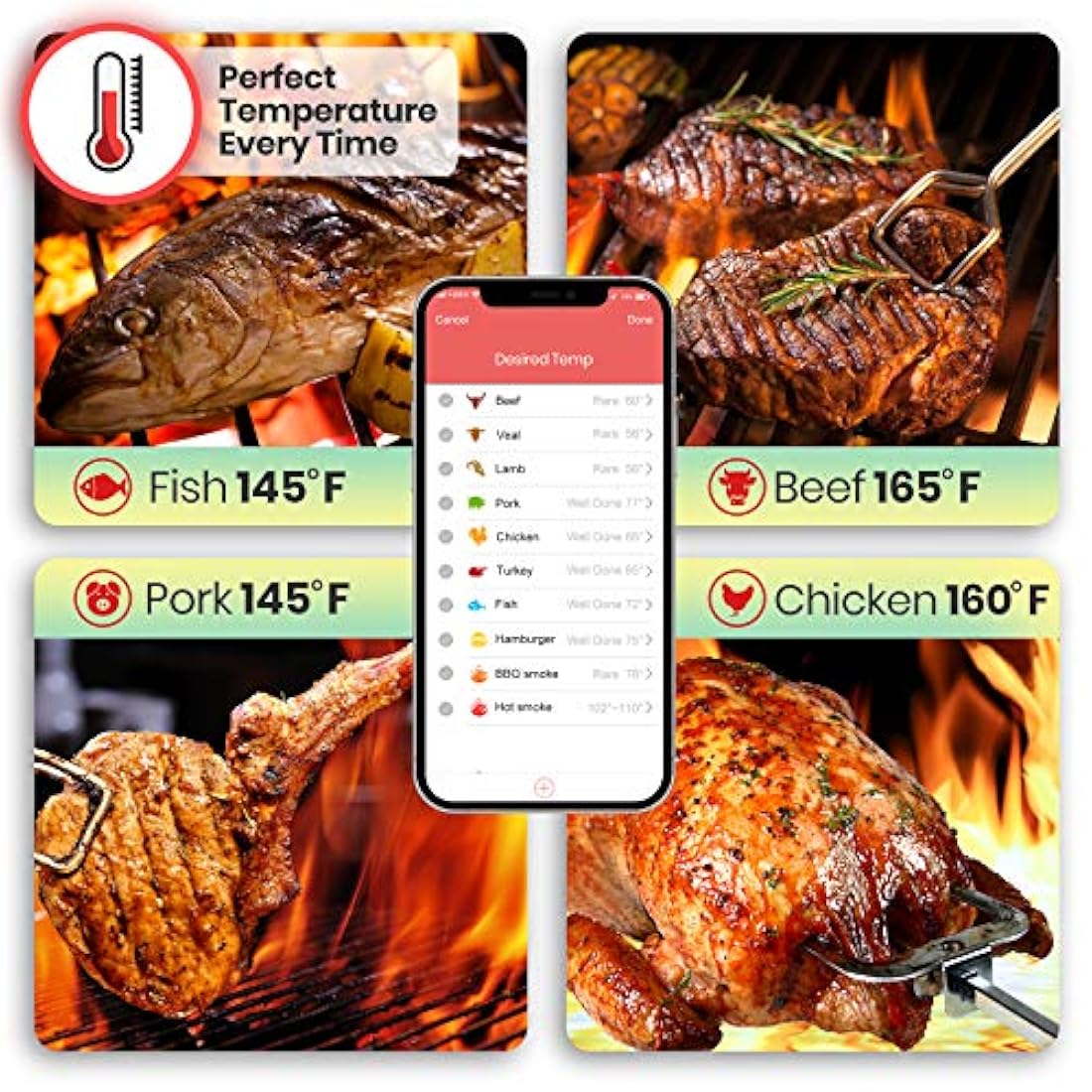 Termómetro inteligente para barbacoa NUTRICHEF PWIRBBQ420