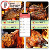 Termómetro inteligente para barbacoa NUTRICHEF PWIRBBQ420