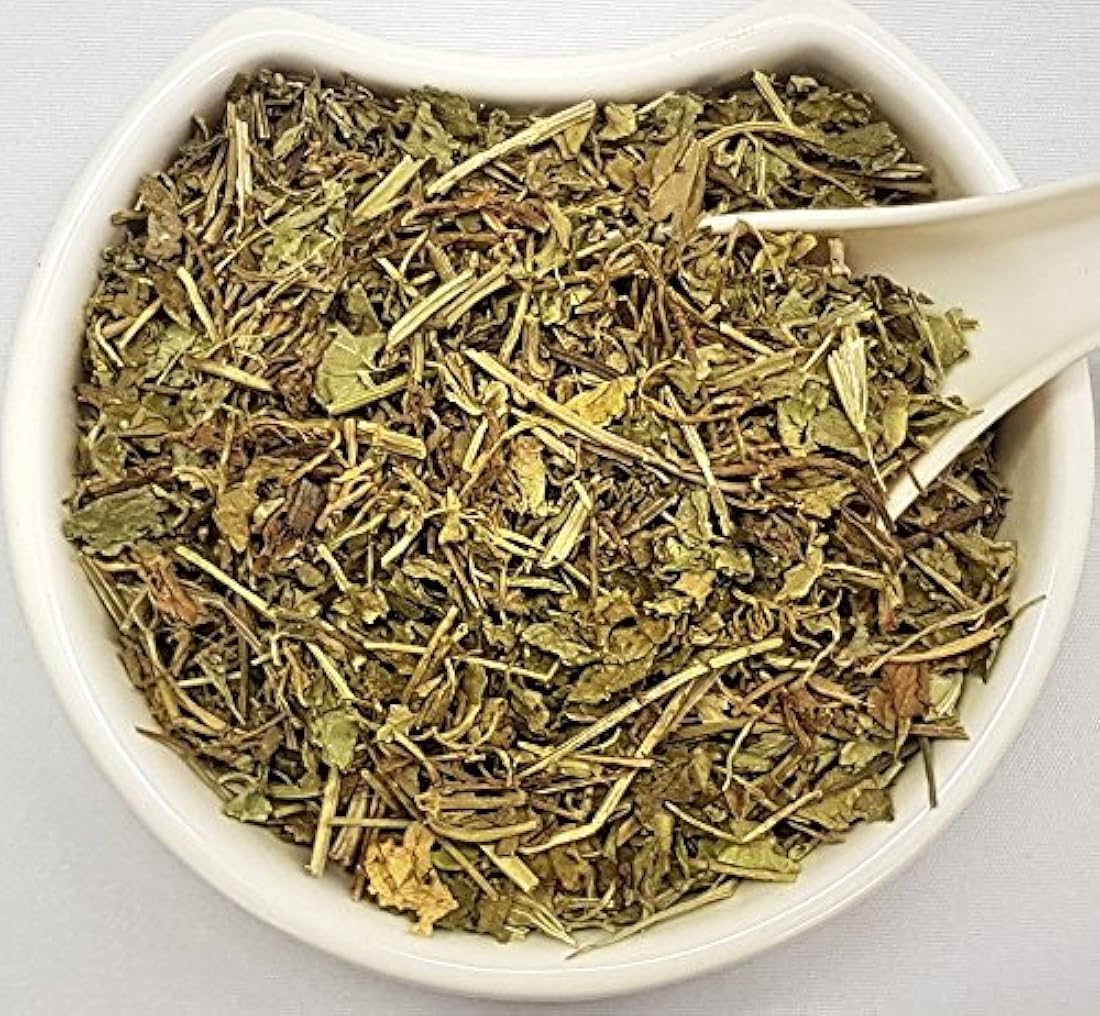 Hiedra terrestre (glechoma hederacea L.) – Salud Embajada