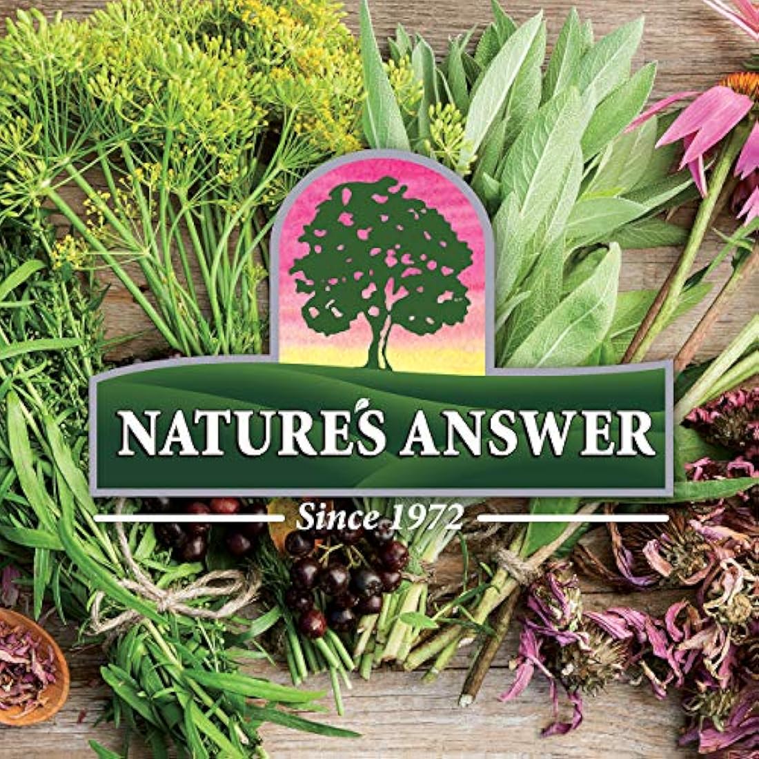 Nature's Answer Vitamina líquida B-Complex, 16 onzas