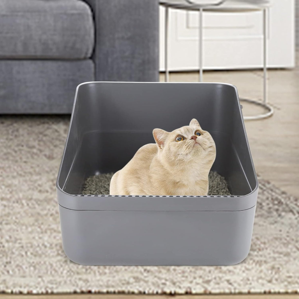 Caja de arena abierta que evita fugas de arena