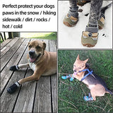 Hcpet Botas de perro transpirables para pavimento caliente
