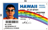 Bandera 3x5 Ft Licencia Conductor McLovin para Dormitorio y Exteriores