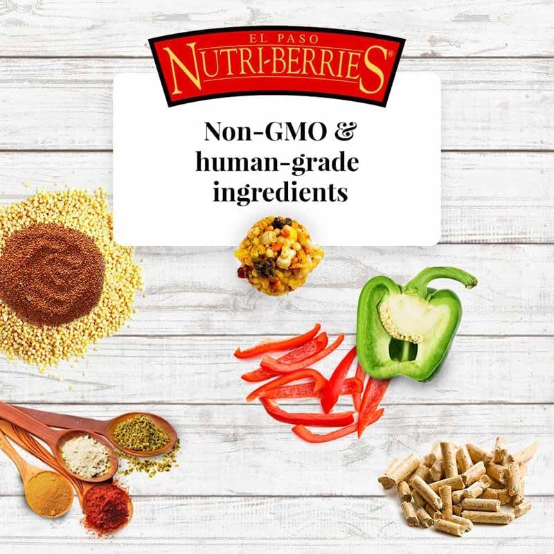 LAFEBER&#39;S El Paso Nutri-Berries - Alimento 3 libras