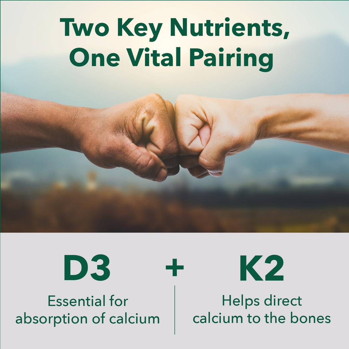 PlantFusion Vitamina D3 + K2 Orgánica Vegana 5000 IU, 60 Cápsulas