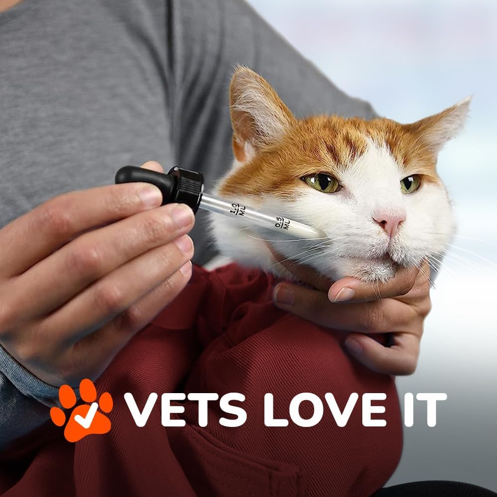 Transportador Cómodo Grande - Funda Suave para Gato, Modelo 1