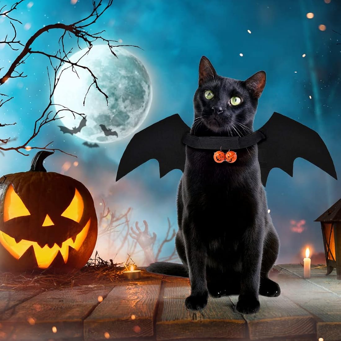 Disfraces de Halloween d alas de murciélago talla única