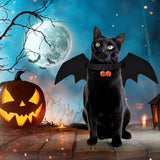 Disfraces de Halloween d alas de murciélago talla única