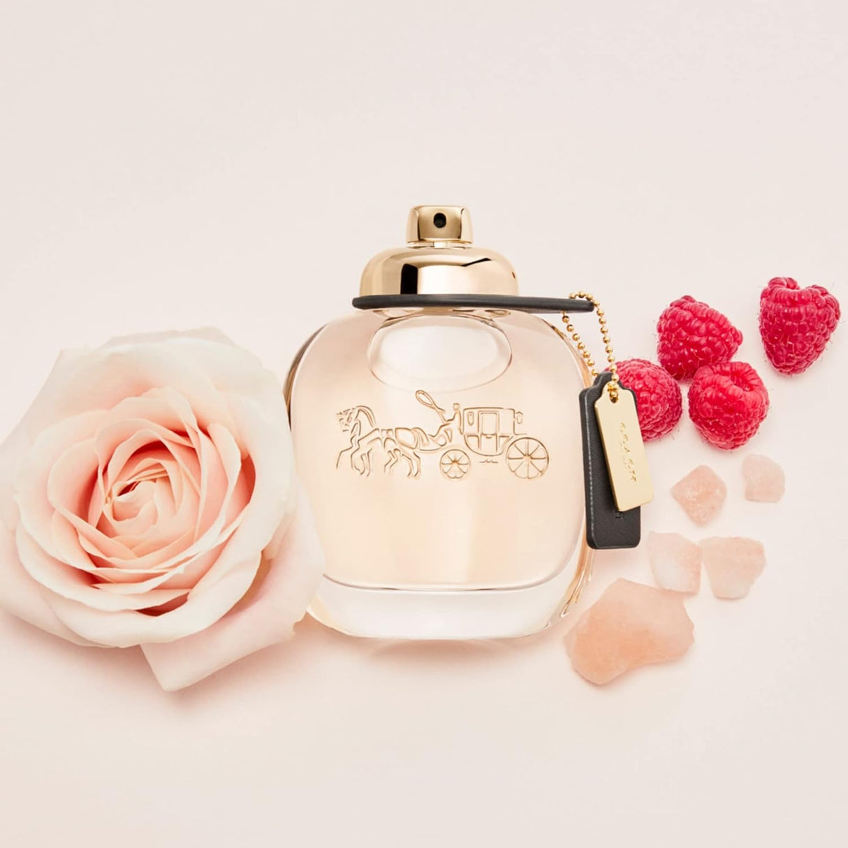 Perfume Entrenador Eau De Parfum