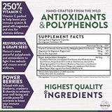 Base de apoyo inmunológico y suplemento antioxidante