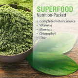 Solaray Chlorella Cápsulas 410 mg 100 Count