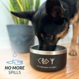 Cuenco Frío para Perros - Antioxidante y Antideslizante, 42 oz