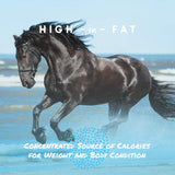 Suplemento de grasa equina Manna Pro Cool Calories 100 - 8 lbs