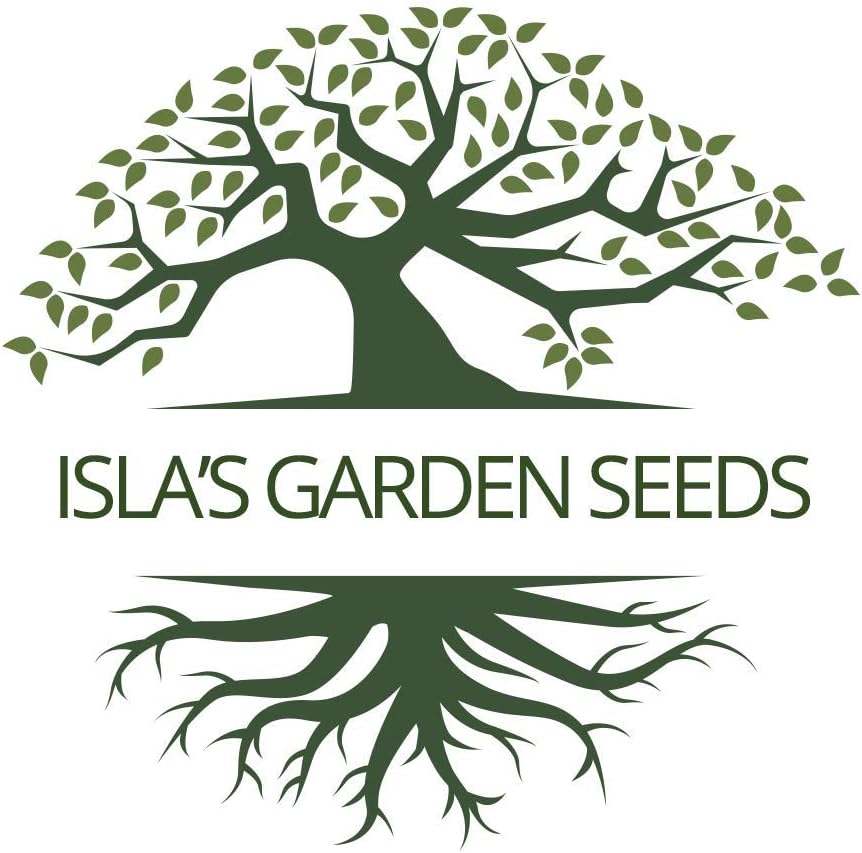 Semillas de Comino, Isla's Garden Seeds, No GMO, 300+ semillas