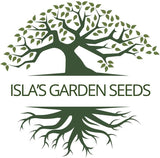Semillas de Comino, Isla's Garden Seeds, No GMO, 300+ semillas