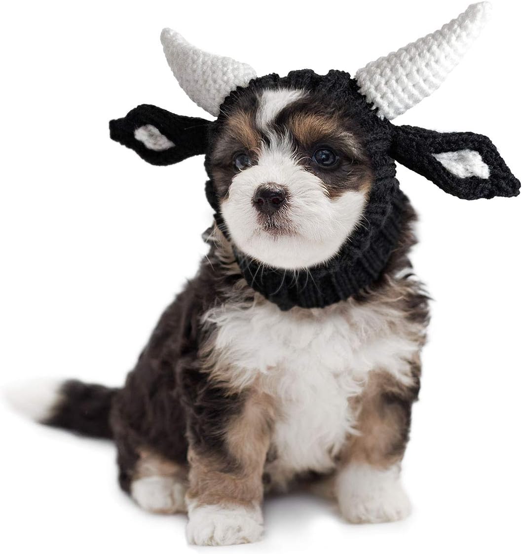 Disfraces de perro toro talla S
