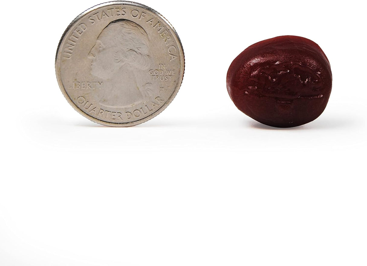 Suplementos Alimenticios de apoyo cerebral