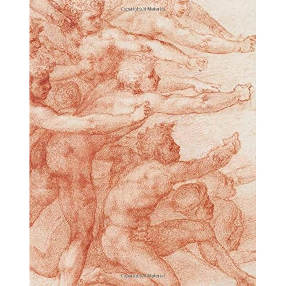 Libro: Michelangelo: Divine Draftsman and Designer