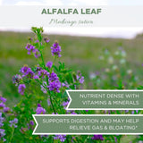 Suplemento té de hojas de alfalfa orgánica  de 4 onzas 3.99o