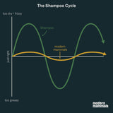 Shampoos y Acondicionadores  2 en 1 lavado de limpieza