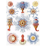 Póster decorativo 30 x 40 cm