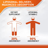 Suplementos Líquido liposomal de vitamina C de 2000 mg