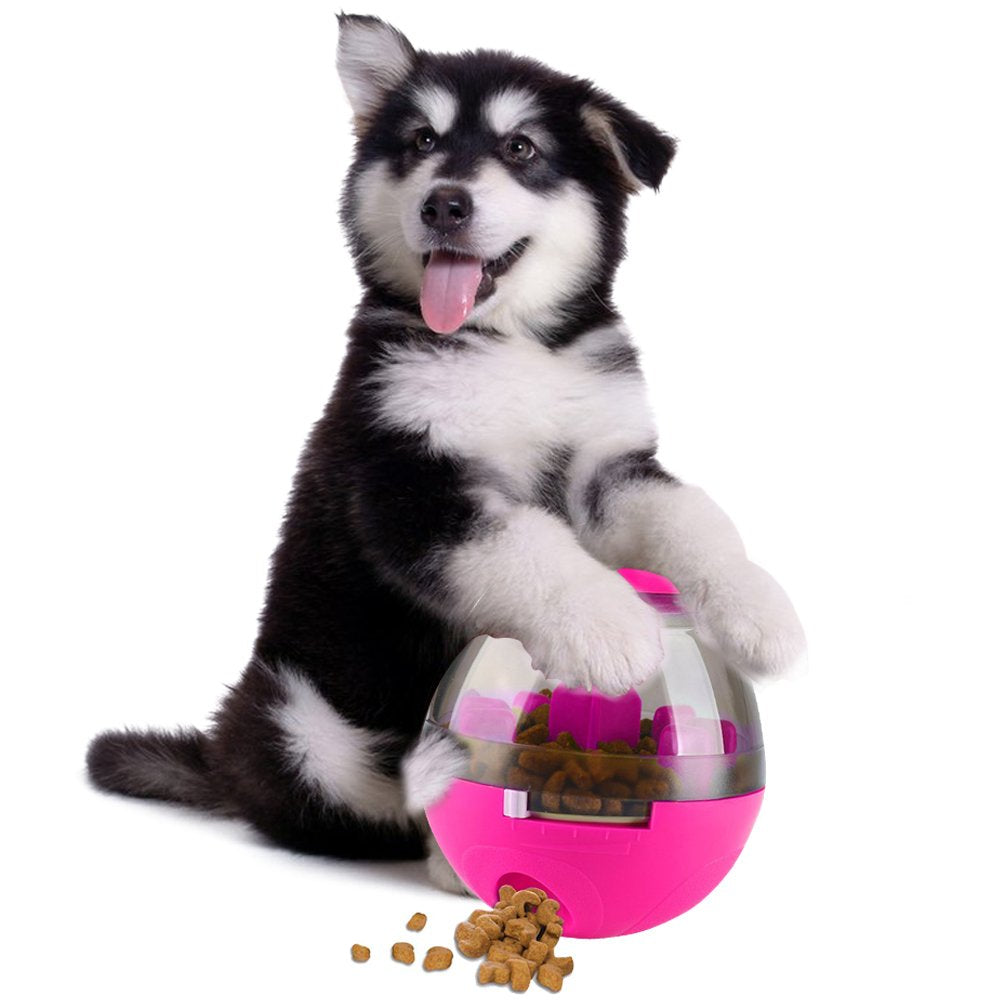 Juguete para mascota - Bola de tratamiento