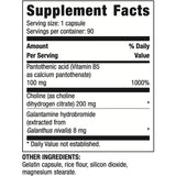 Suplementos Alimenticios de mejora de la vida Memoria