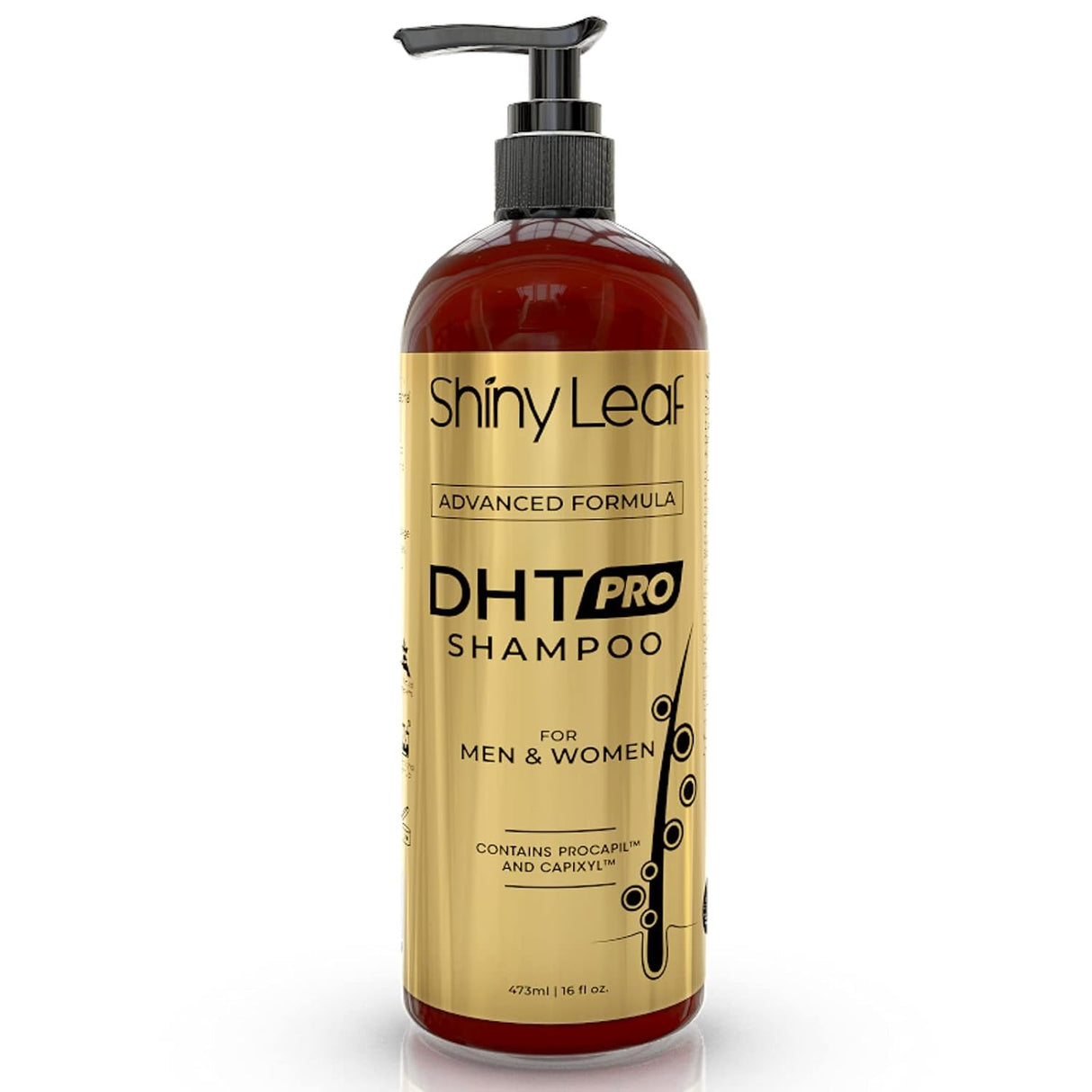 Shampoos y Acondicionadores revitaliza el cuero cabelludo