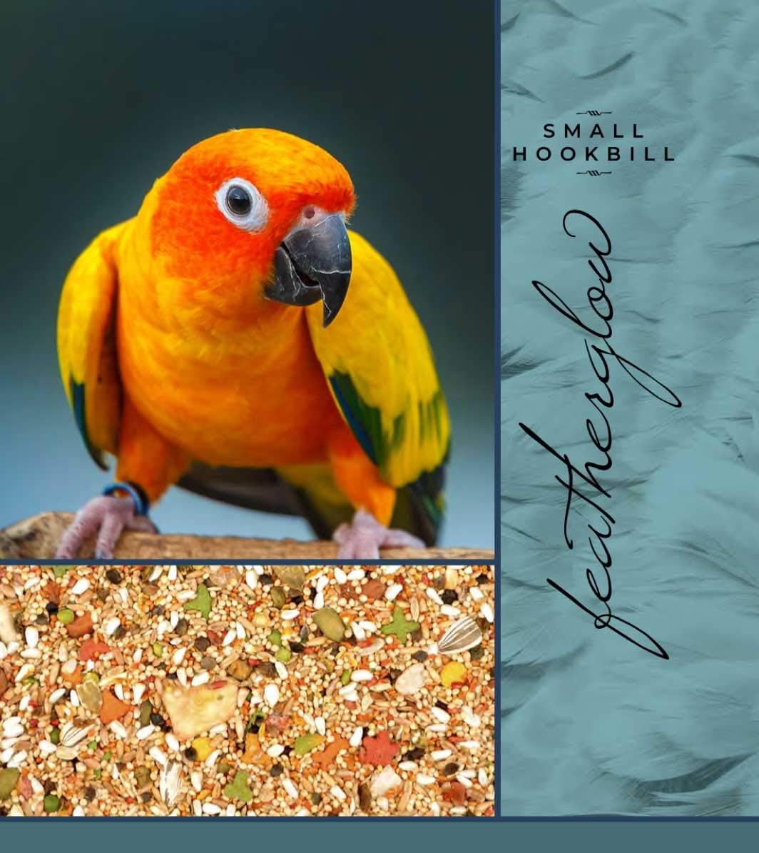 Volkman Featherglow  Comida para pájaros con pico de gancho