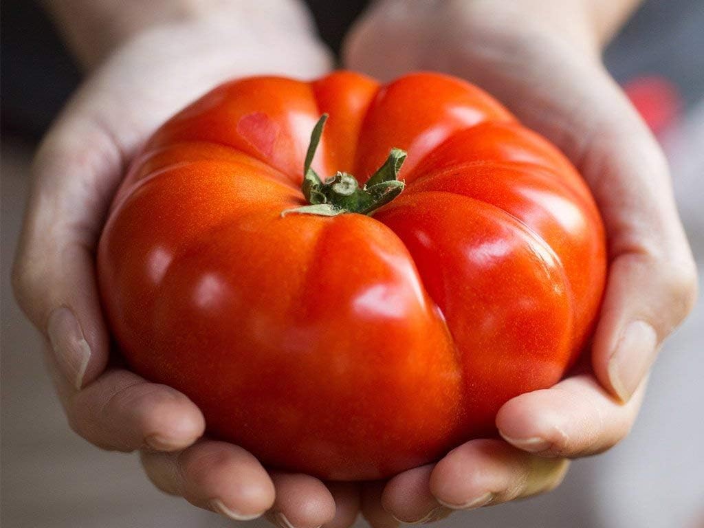 Tomate Beefsteak Giant Hercules Ruso Semillas No GMO 40 Unidades