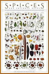 Póster de especias laminadas de Peddler de 9.4 x 14.2 in